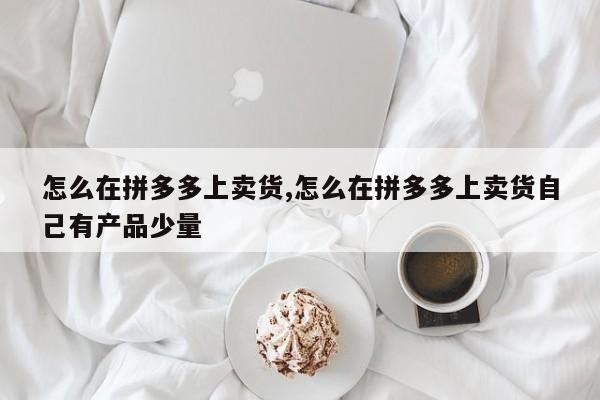 怎么在拼多多上卖货,怎么在拼多多上卖货自己有产品少量