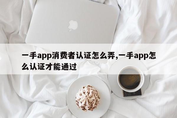 一手app消费者认证怎么弄,一手app怎么认证才能通过