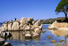 招聘照片一般什么底色，招聘照片要求什么底